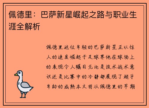 佩德里：巴萨新星崛起之路与职业生涯全解析