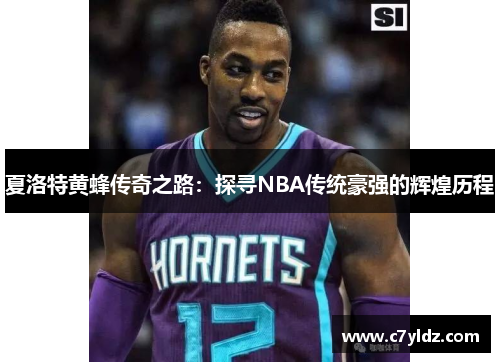 夏洛特黄蜂传奇之路：探寻NBA传统豪强的辉煌历程
